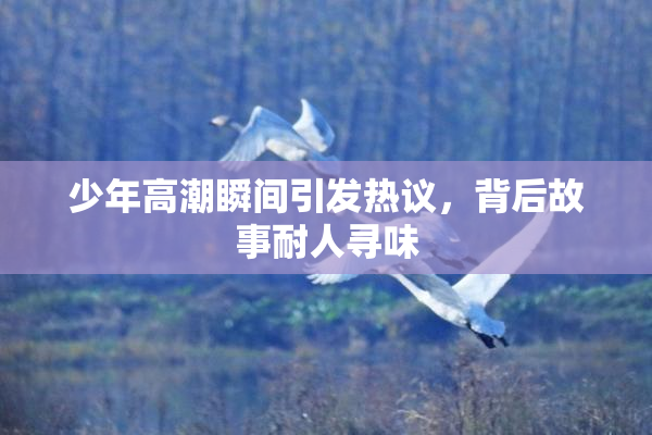 少年高潮瞬间引发热议，背后故事耐人寻味