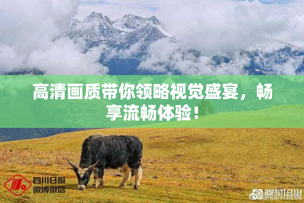 高清画质带你领略视觉盛宴，畅享流畅体验！