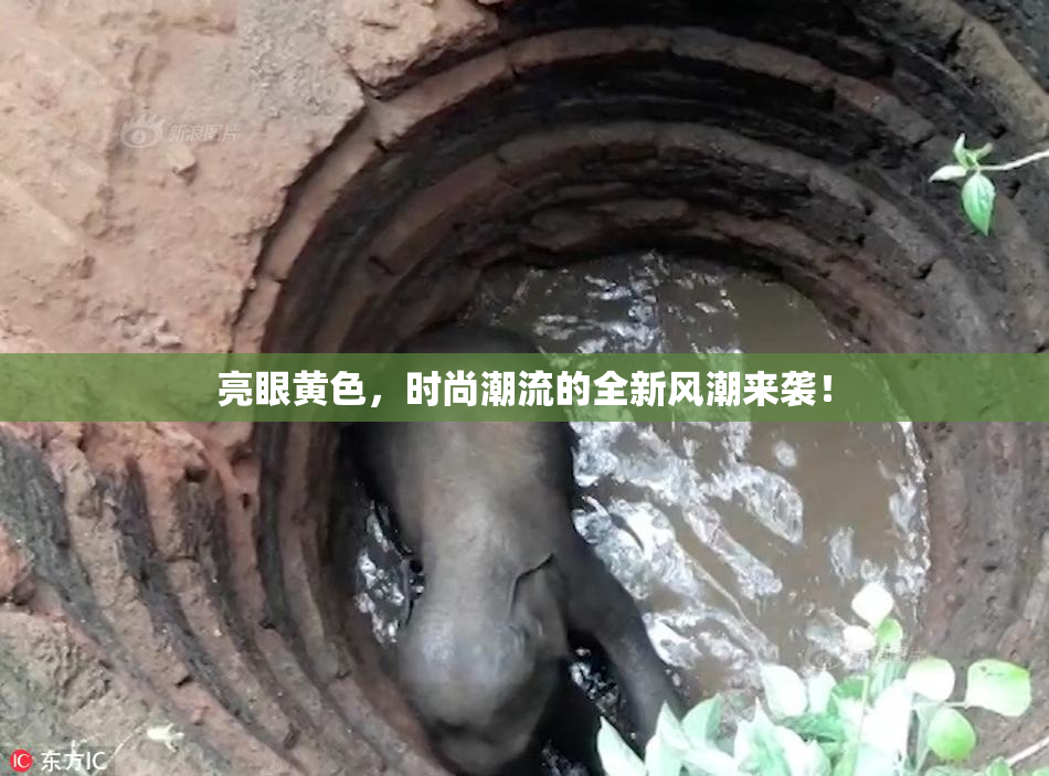 亮眼黄色，时尚潮流的全新风潮来袭！