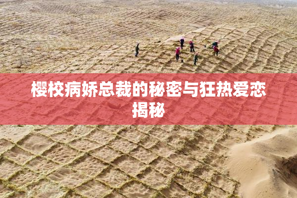 樱校病娇总裁的秘密与狂热爱恋揭秘