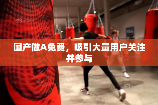 国产做A免费，吸引大量用户关注并参与