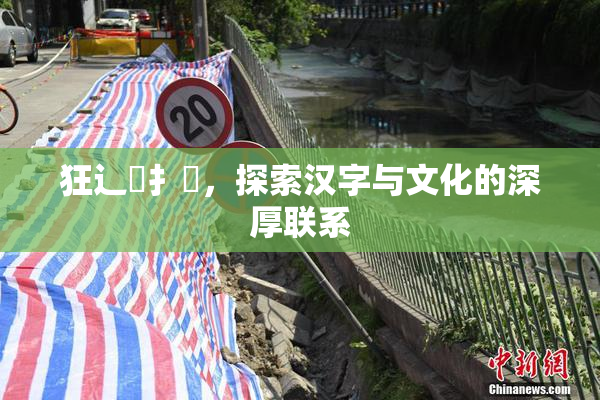 狂辶喿扌畐，探索汉字与文化的深厚联系