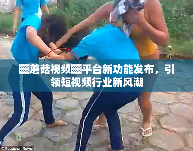 ▓蘑菇视频▓平台新功能发布，引领短视频行业新风潮