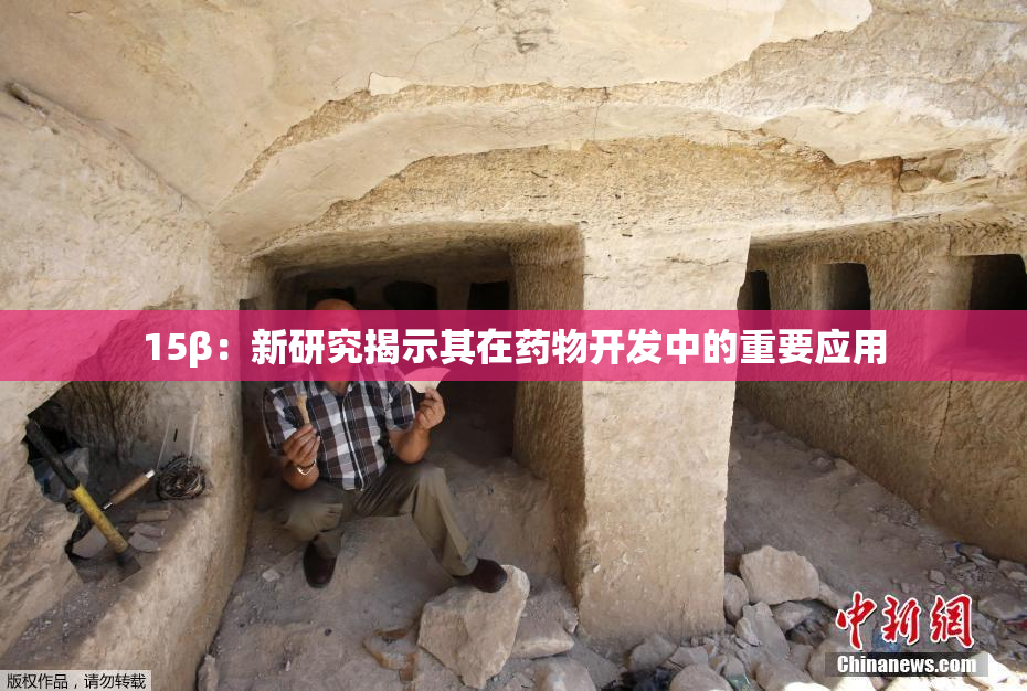 15β：新研究揭示其在药物开发中的重要应用