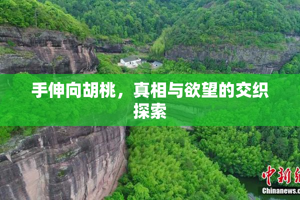 手伸向胡桃，真相与欲望的交织探索