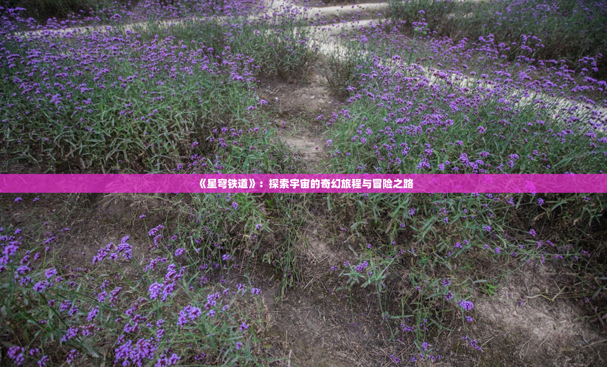 《星穹铁道》：探索宇宙的奇幻旅程与冒险之路