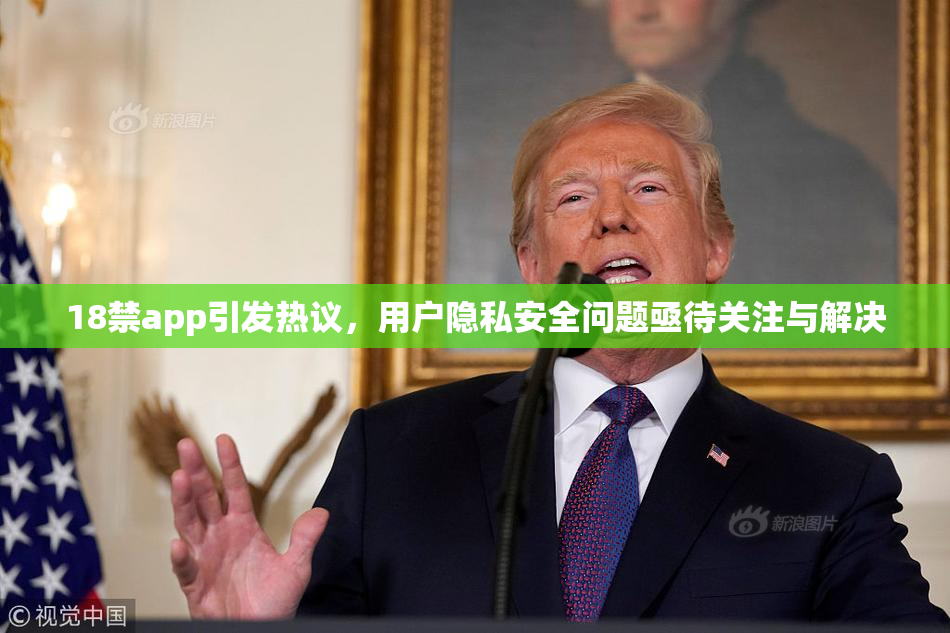 18禁app引发热议，用户隐私安全问题亟待关注与解决