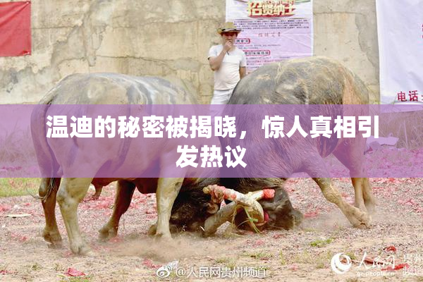 温迪的秘密被揭晓，惊人真相引发热议