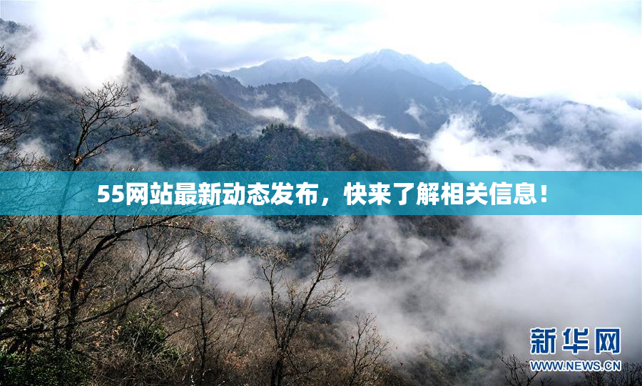55网站最新动态发布，快来了解相关信息！