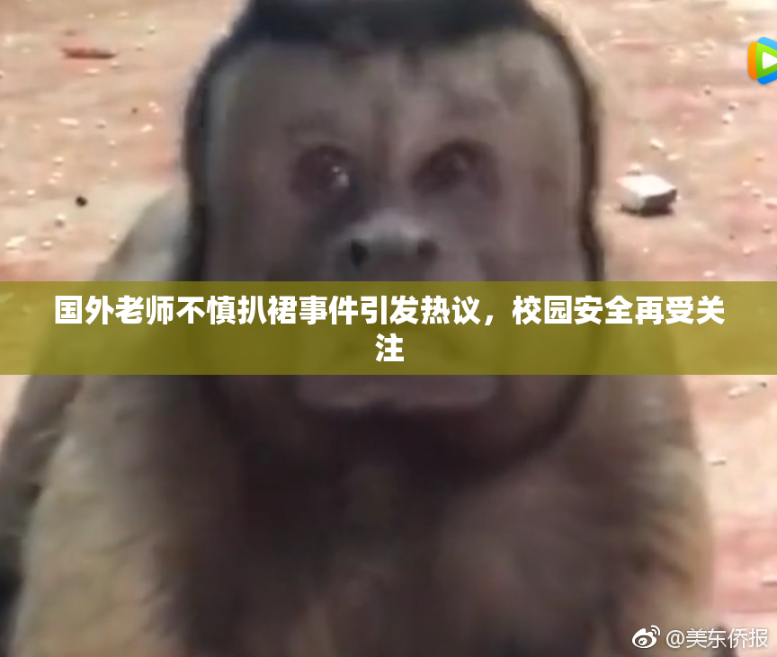 国外老师不慎扒裙事件引发热议，校园安全再受关注