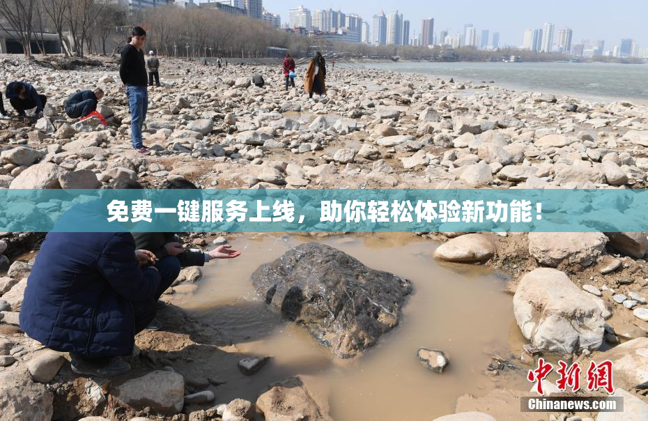 免费一键服务上线，助你轻松体验新功能！