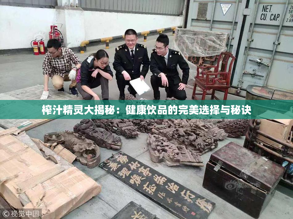 榨汁精灵大揭秘：健康饮品的完美选择与秘诀