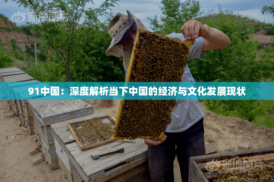 91中国：深度解析当下中国的经济与文化发展现状