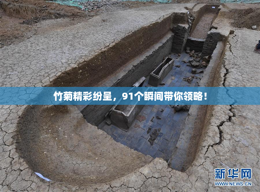 竹菊精彩纷呈，91个瞬间带你领略！