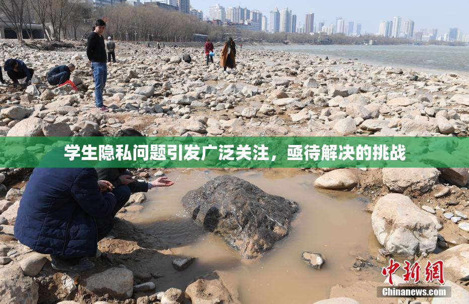 学生隐私问题引发广泛关注，亟待解决的挑战