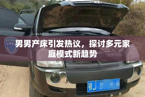 男男产床引发热议，探讨多元家庭模式新趋势