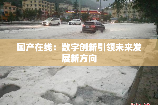 国产在线：数字创新引领未来发展新方向