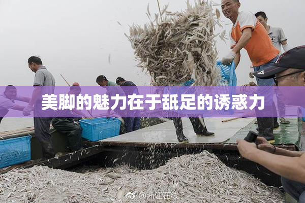 美脚的魅力在于舐足的诱惑力