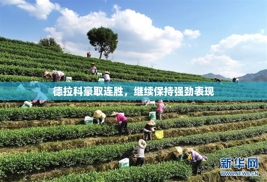 德拉科豪取连胜，继续保持强劲表现
