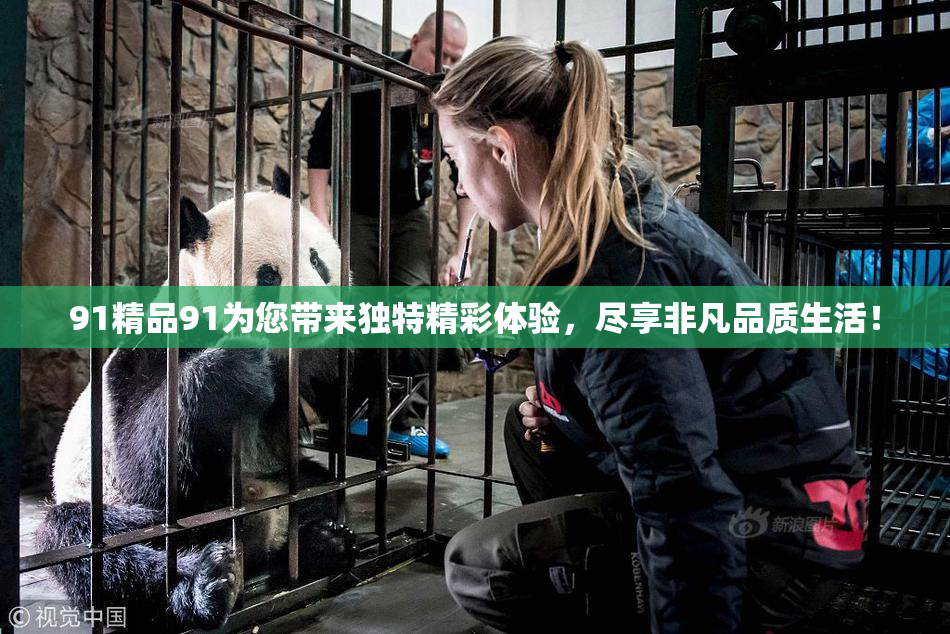 91精品91为您带来独特精彩体验，尽享非凡品质生活！