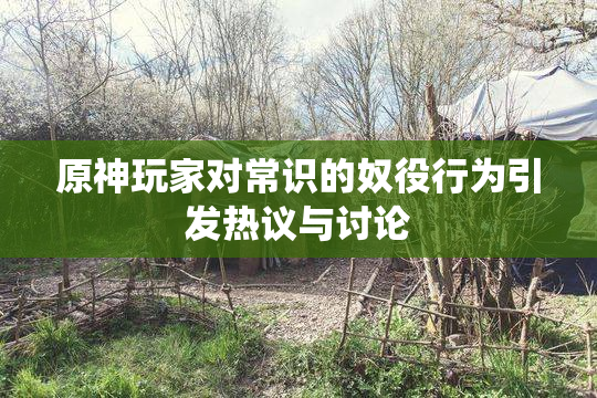 原神玩家对常识的奴役行为引发热议与讨论