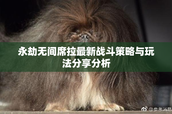 永劫无间席拉最新战斗策略与玩法分享分析