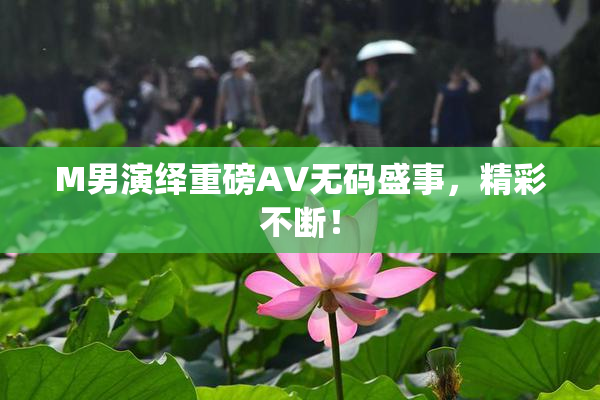 M男演绎重磅AV无码盛事，精彩不断！