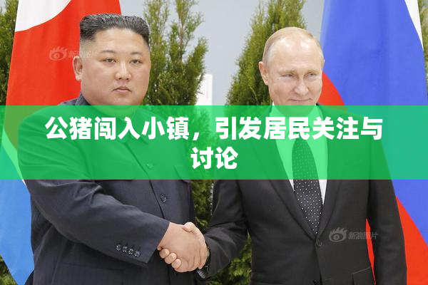 公猪闯入小镇，引发居民关注与讨论