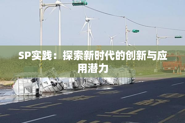 SP实践：探索新时代的创新与应用潜力