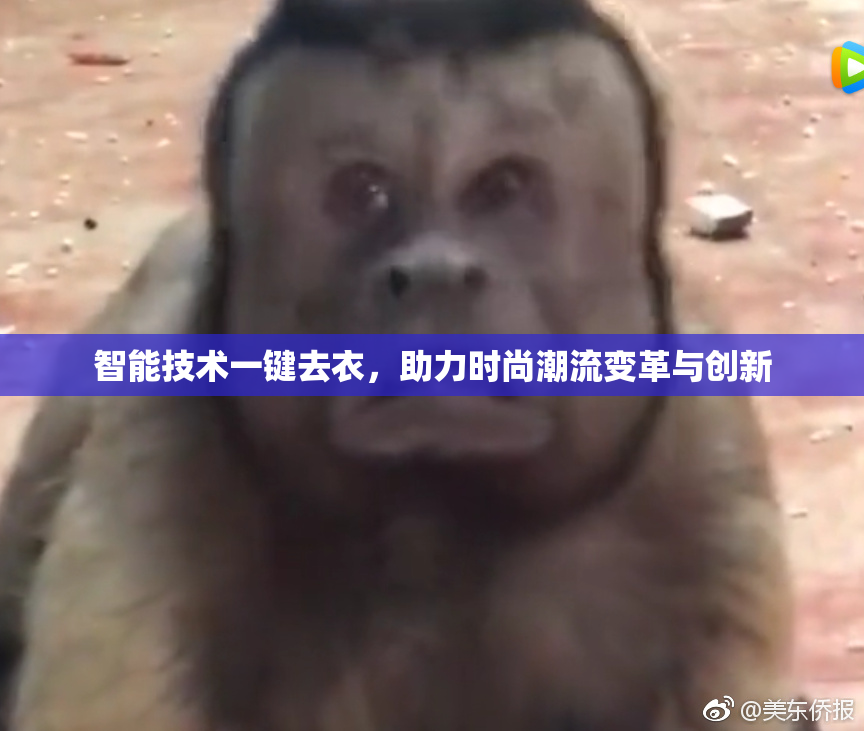 智能技术一键去衣，助力时尚潮流变革与创新