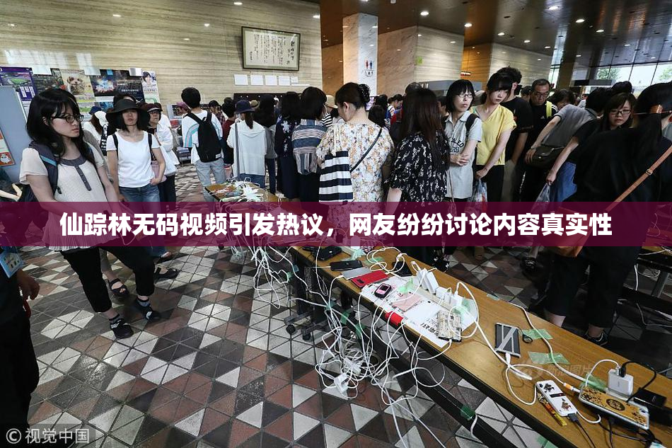 仙踪林无码视频引发热议，网友纷纷讨论内容真实性