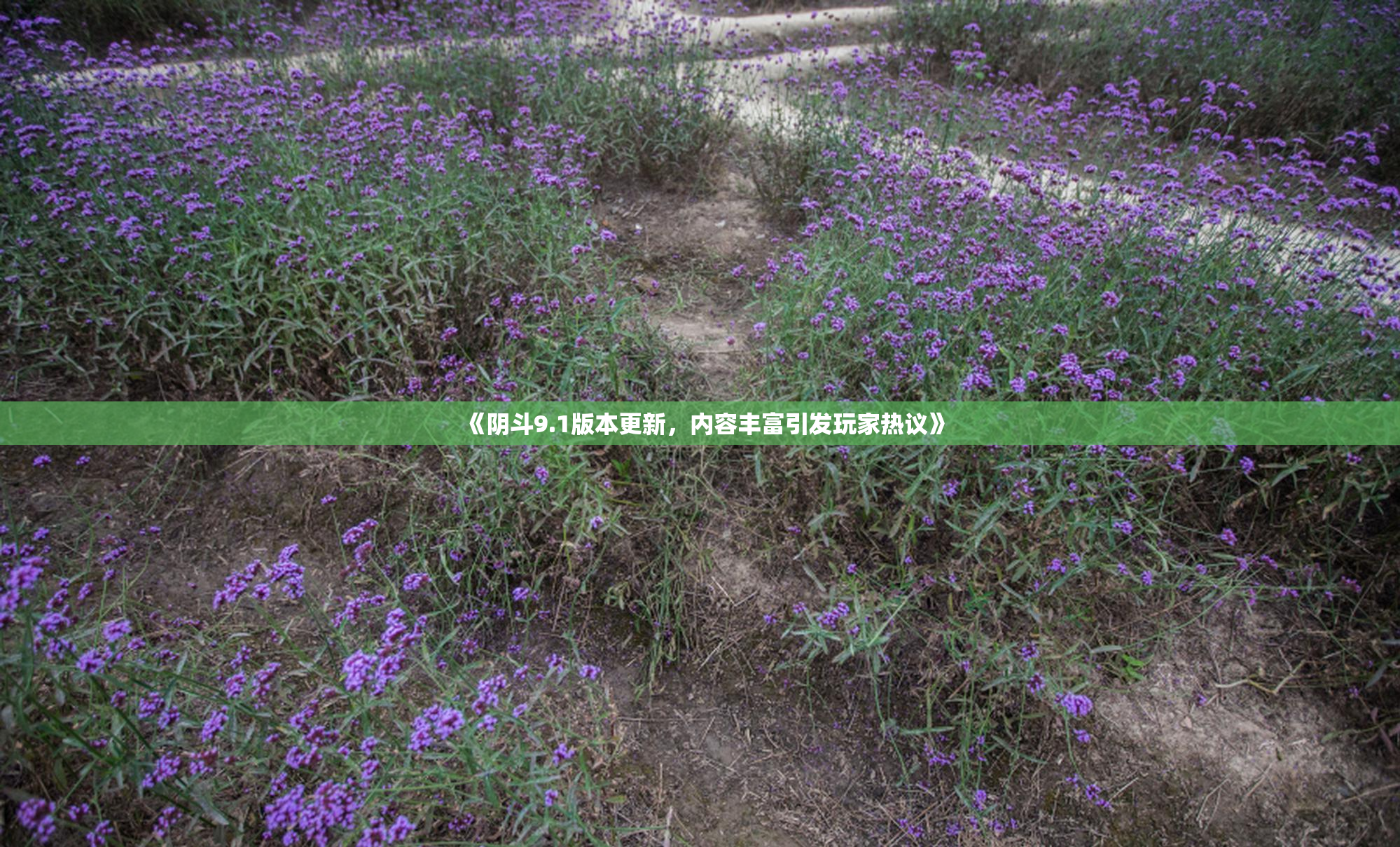 《阴斗9.1版本更新，内容丰富引发玩家热议》