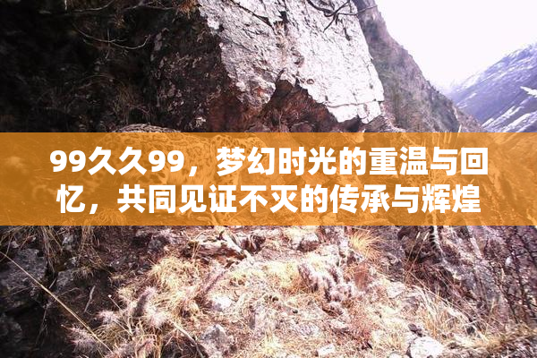99久久99，梦幻时光的重温与回忆，共同见证不灭的传承与辉煌。