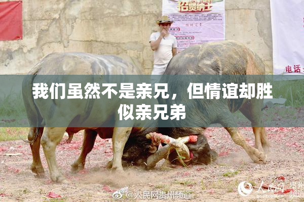我们虽然不是亲兄，但情谊却胜似亲兄弟
