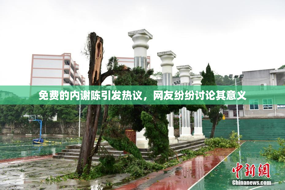 免费的内谢陈引发热议，网友纷纷讨论其意义