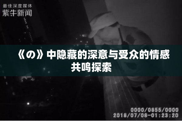 《の》中隐藏的深意与受众的情感共鸣探索