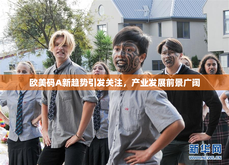 欧美码A新趋势引发关注，产业发展前景广阔