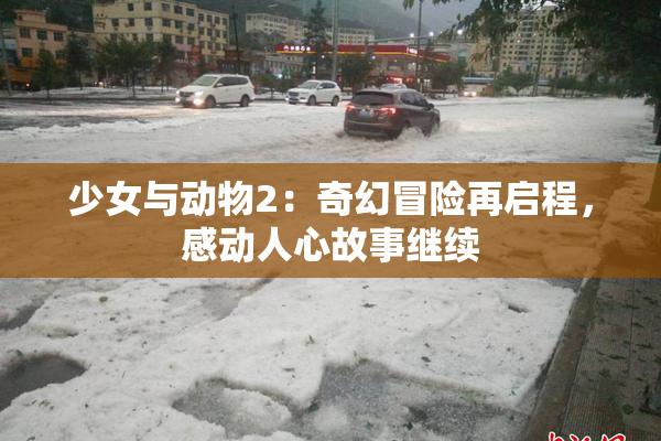 少女与动物2：奇幻冒险再启程，感动人心故事继续