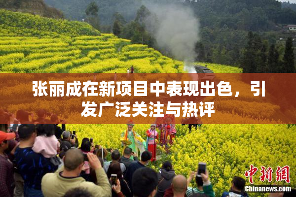 张丽成在新项目中表现出色，引发广泛关注与热评