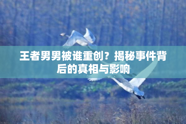 王者男男被谁重创？揭秘事件背后的真相与影响