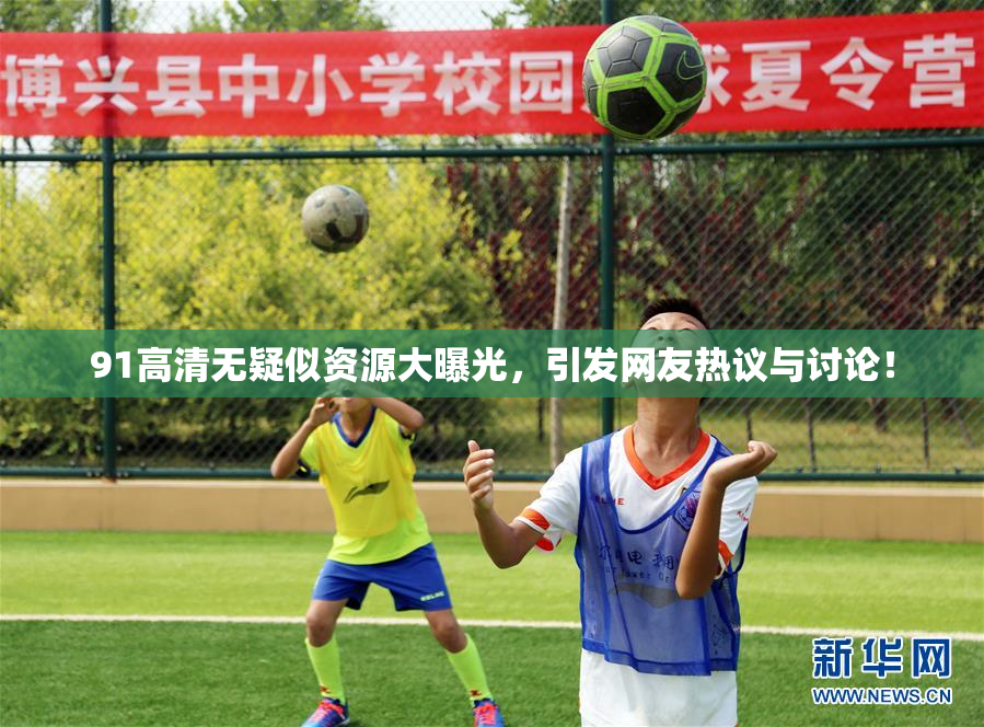 91高清无疑似资源大曝光，引发网友热议与讨论！
