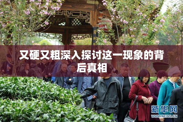 又硬又粗深入探讨这一现象的背后真相