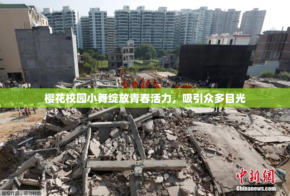 樱花校园小舞绽放青春活力，吸引众多目光