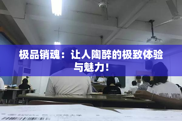 极品销魂：让人陶醉的极致体验与魅力！