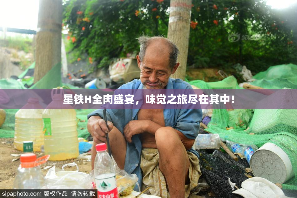 星铁H全肉盛宴，味觉之旅尽在其中！