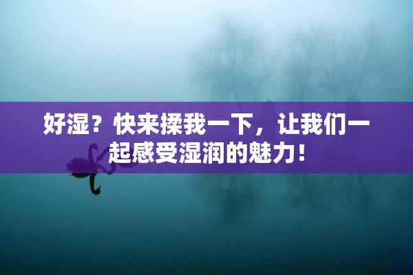 好湿？快来揉我一下，让我们一起感受湿润的魅力！