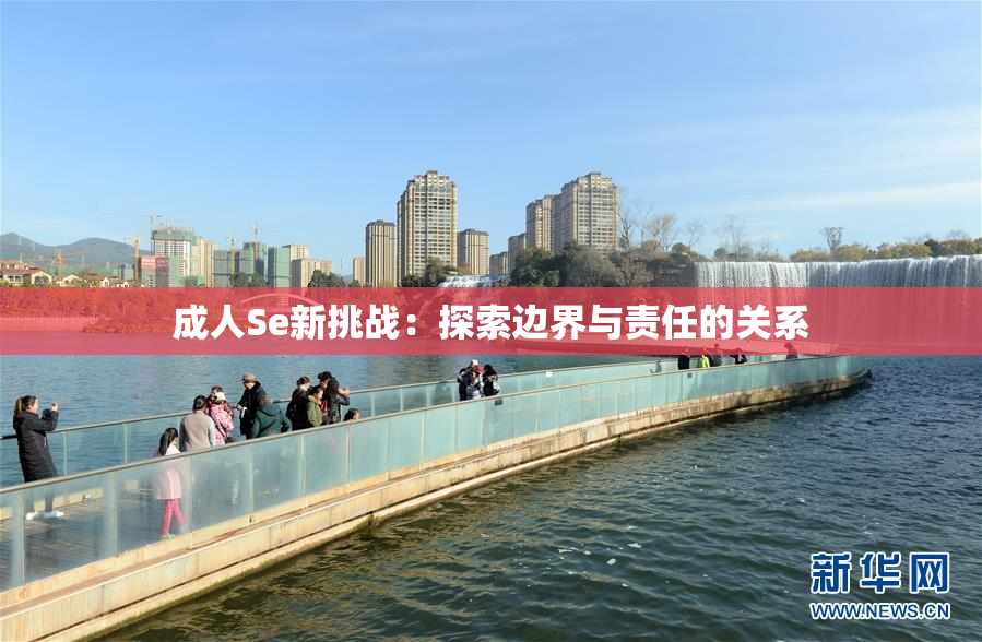 成人Se新挑战：探索边界与责任的关系