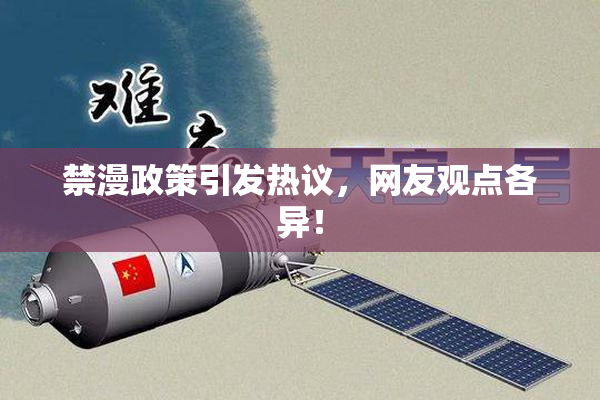 禁漫政策引发热议，网友观点各异！