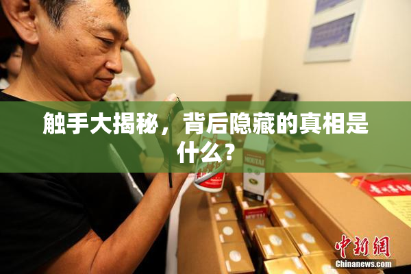 触手大揭秘，背后隐藏的真相是什么？