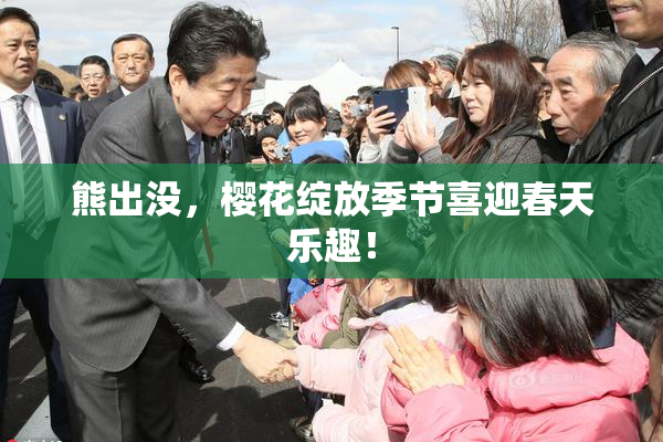 熊出没，樱花绽放季节喜迎春天乐趣！